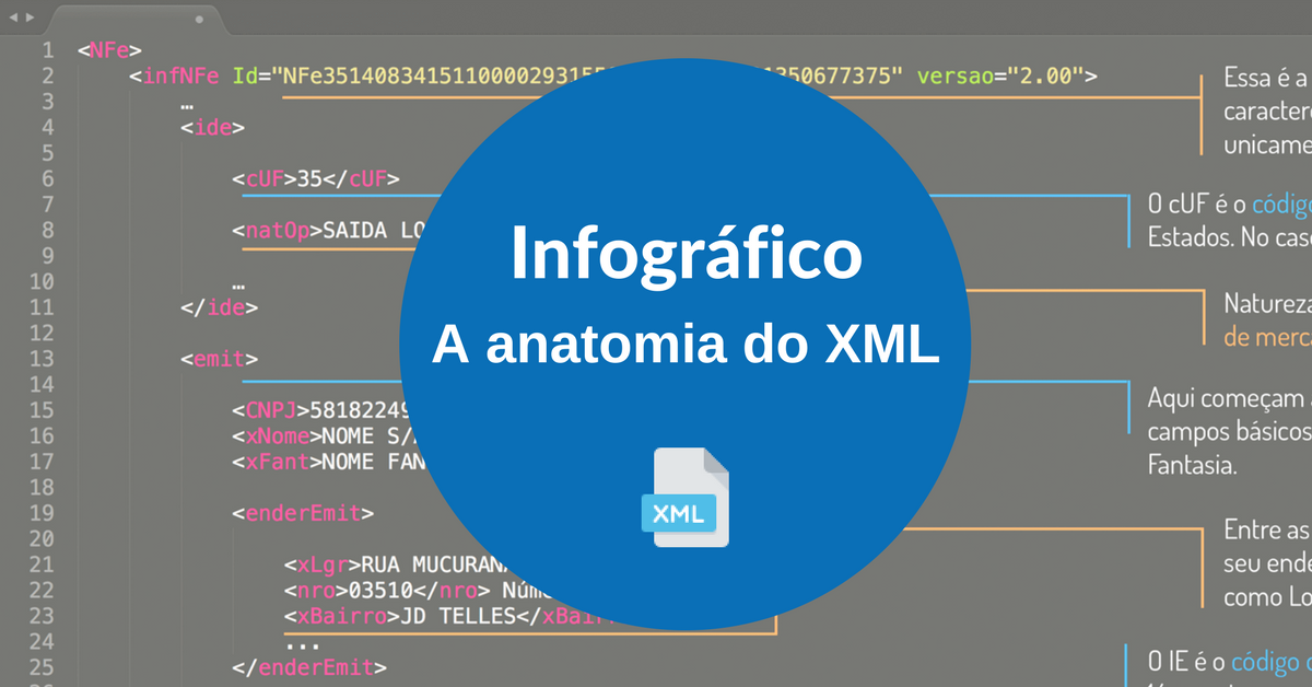 A anatomia do XML - Infográfico